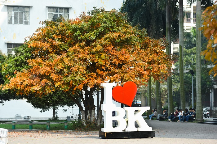 Undergraduate Programs