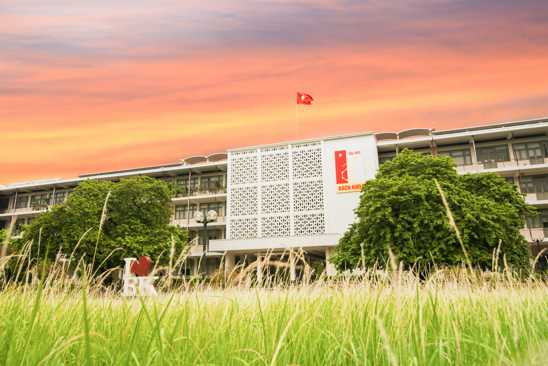 20200802 TLD 7853 2a